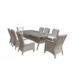 ALEXANDRA 8 Seat Rectangular Dining Set