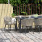 Ambition 8 Seat Rectangular Fire Pit Dining Set / Oatmeal