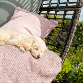 Riviera Chair / Grey Riviera Chair / Grey