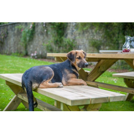 Alexander Rose Pine Rectangular Table Set Alexander Rose Pine Rectangular Table Set