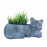 Cat Planter – blue iron effect