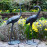 Cranes Pair Medium – dark verdigris