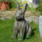 Driftwood Rabbit