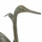 Egrets Aluminium – dark verdigris