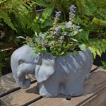 Elephant Planter – blue iron effect Elephant Planter – blue iron effect