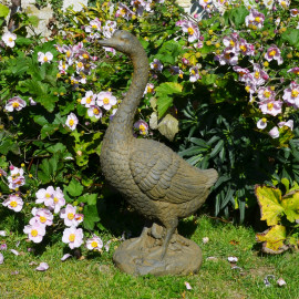 Goose Tall – rust effect