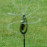 Mini Water Sprinkler
