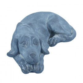 Puppy Lying – blue iron effect Puppy Lying – blue iron effect