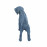 Puppy Standing – blue iron effect