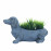 Sausage Dog Planter – blue iron effect