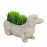 Sausage Dog Planter – weathered stone effect