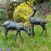 Small Deer pair – dark verdigris